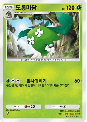 도롱마담